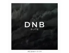 Zenhiser DnB Elite main image