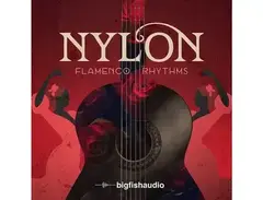 Big Fish Audio Nylon - Flamenco Rhythms main image