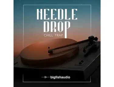 Big Fish Audio Needle Drop