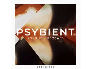 Zenhiser Psybient