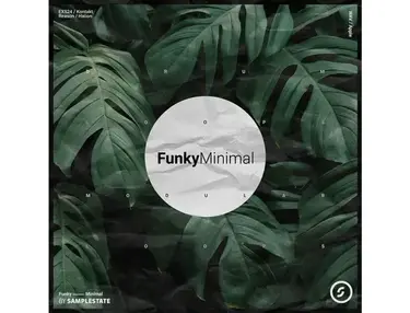 Samplestate Funky Minimal