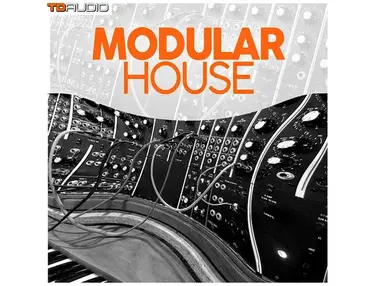 Industrial Strength TD Audio â Modular House