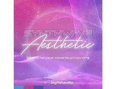 Big Fish Audio Synthwave Aesthetic main image