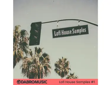 DABRO Music Lofi House Samples 1