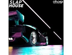 SHARP Slap House main image