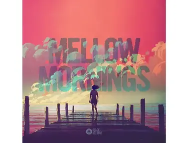 Black Octopus Mellow Mornings â Lofi Vibes