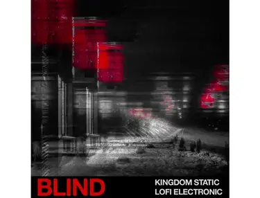 Blind Audio Kingdom Static - Lofi Electronic