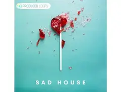 Producer Loops Sad House main image