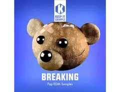 Keep It Sample Breaking main image
