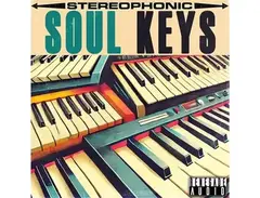 Renegade Audio Soul Keys Vol.1 main image