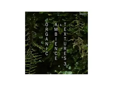 ShamanStems Organic Ambience and Textures 3