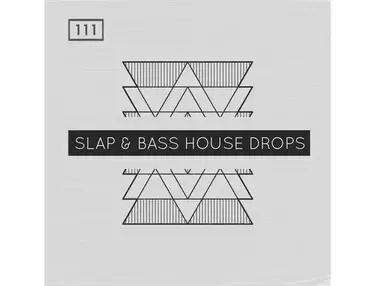 Bingoshakerz Slap & Bass House Drops