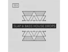 Bingoshakerz Slap & Bass House Drops main image