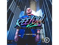Samplestate Reelow Vol 2 main image
