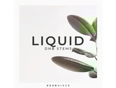 Zenhiser - Liquid DnB