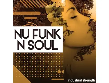 Industrial Strength Nu Funk N Soul