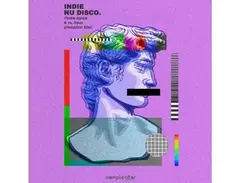 Samplestar Indie Nu Disco main image