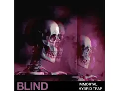 Blind Audio Immortal - Hybrid Trap main image