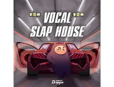 Dropgun Samples Vocal Slap House