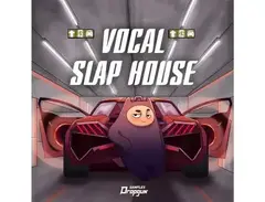 Dropgun Samples Vocal Slap House main image