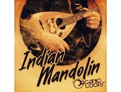 Organic Loops Indian Mandolin main image