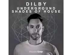 House Of Loop Dilby Underground Shades Of House main image