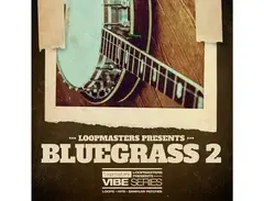 Loopmasters VIBES 16 - Bluegrass Vol 2 main image