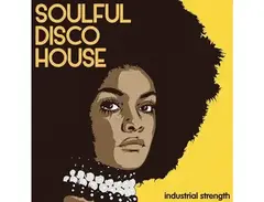 Industrial Strength Soulful Disco House main image