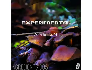 SmallPrint Ingredients Frinla - Experimental Ambient