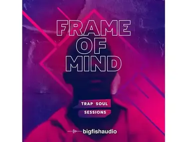 Big Fish Audio Frame of Mind - Trap Soul Sessions