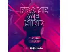 Big Fish Audio Frame of Mind - Trap Soul Sessions main image