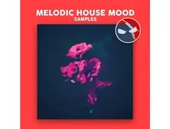 DABRO Music Melodic House Mood main image