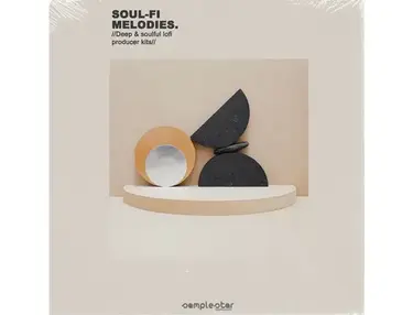 Samplestar Soul-Fi Melodies