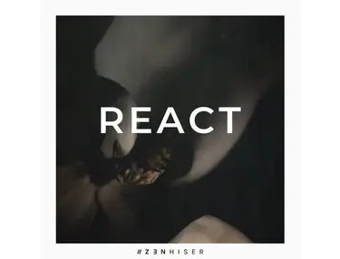 Zenhiser - React