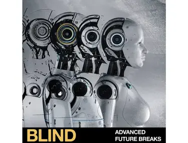 Blind Audio Advanced Future Breaks