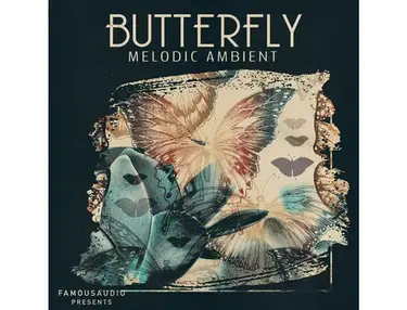 Famous Audio Butterfly: Melodic Ambient