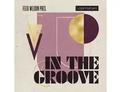 Loopmasters Felix Weldon - In The Groove main image