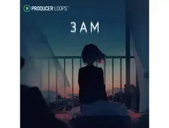 Producer Loops 3AM main image