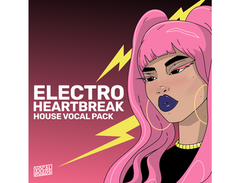 Vocal Roads Electro Heartbreak - House Vocal Pack main image