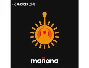 Producer Loops Manana