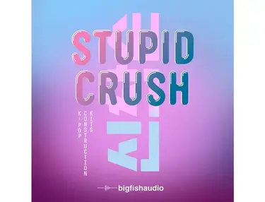 Big Fish Audio Stupid Crush: K-Pop Construction Kits