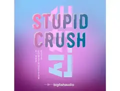 Big Fish Audio Stupid Crush: K-Pop Construction Kits main image