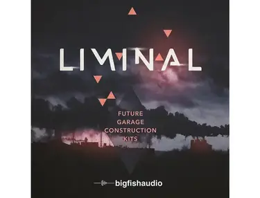 Big Fish Audio Liminal: Future Garage Construction Kits