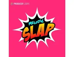 Producer Loops Melodic Slap main image