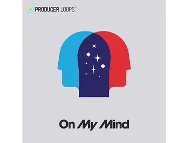 Producer Loops On My Mind