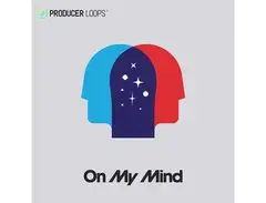 Producer Loops On My Mind main image