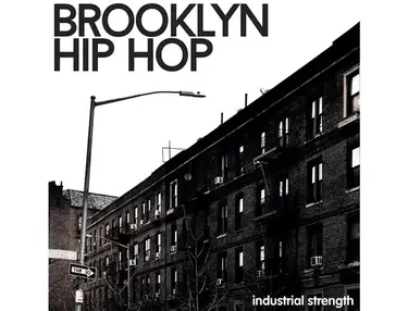 Industrial Strength Brooklyn Hip Hop