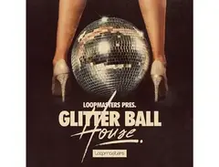 Loopmasters Glitter Ball House main image