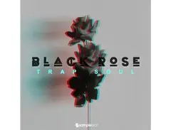 Samplestar Black Rose main image