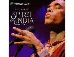 Producer Loops Spirit of India main image
